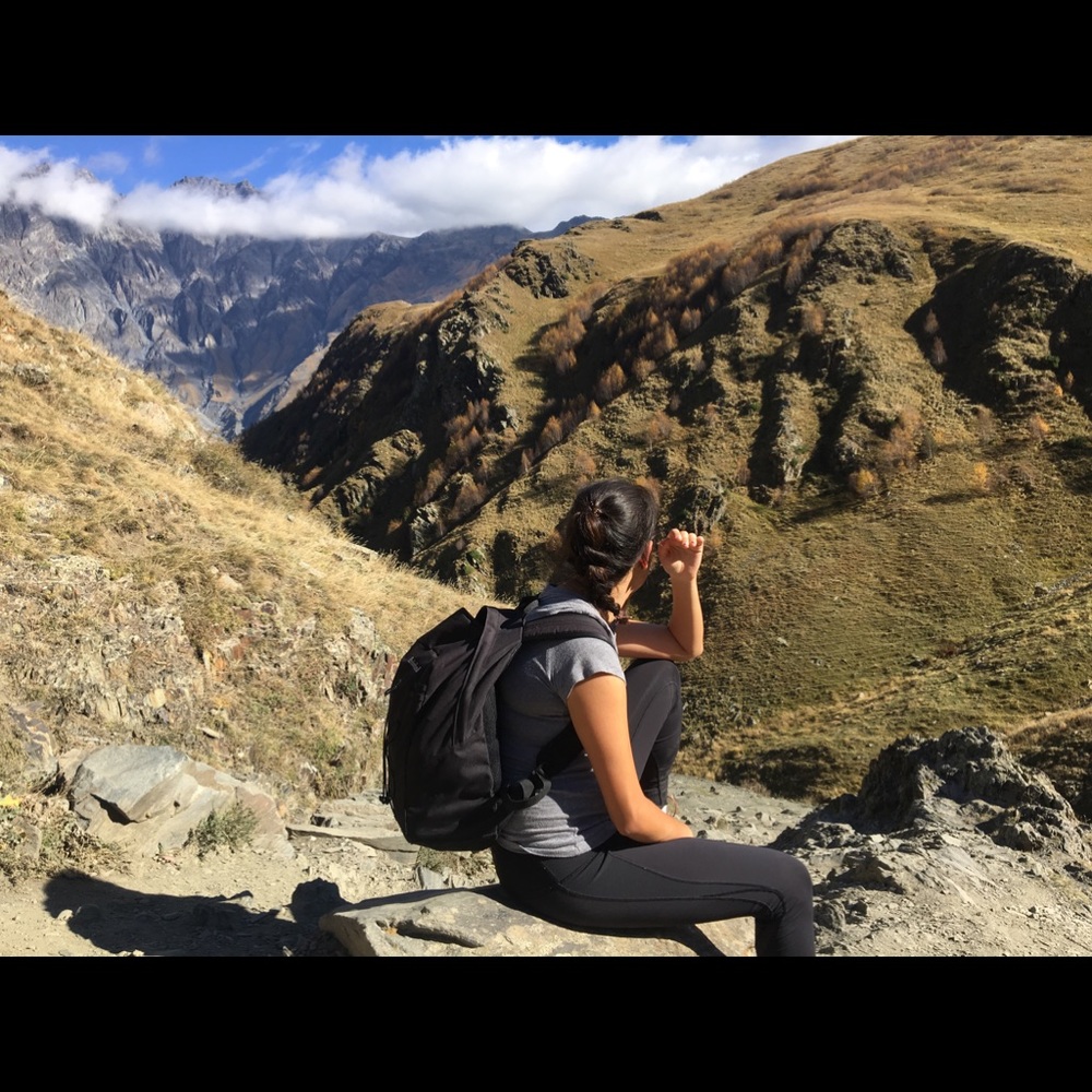 Meet your Posher, Bronte